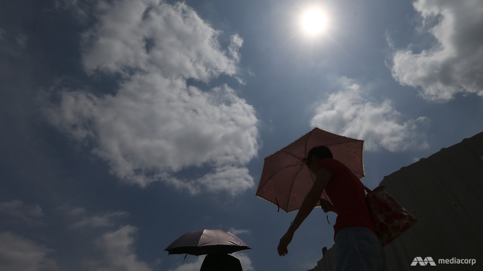 2017 warmest year on record for Singapore not influenced by El Nino: MSS