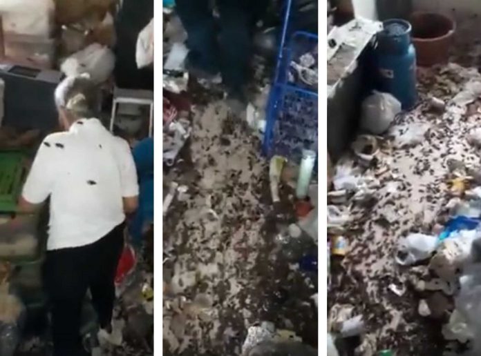 Video of extremely filthy, roach infested home trends online; appears to be a Singapore flat unit