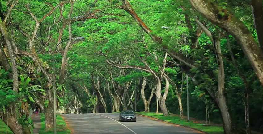 Gorgeous views on these Heritage Roads will make you feel like you’re not in S’pore