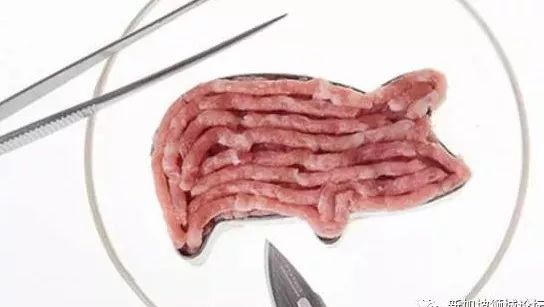 新加坡人年底可能吃上“人造肉”，你愿意吗~