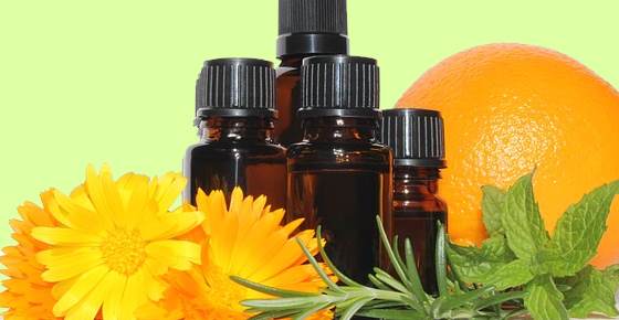 Proven Essential Oils for Hemorrhoids: Tea Tree, Lavender and More (Science Based)