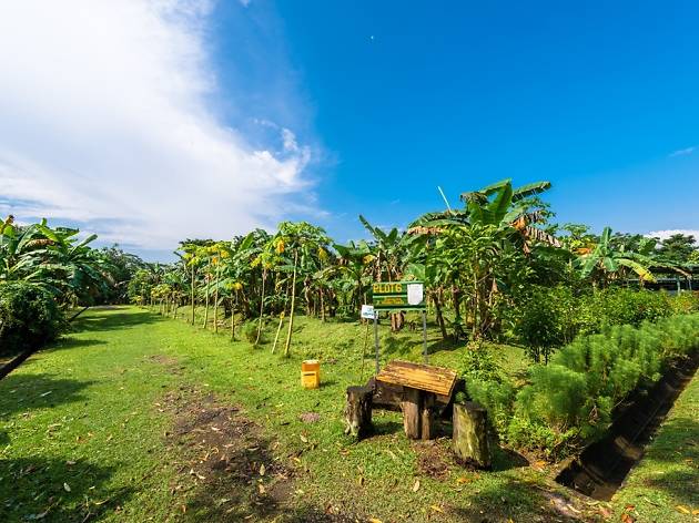 The ultimate guide to the countryside in Singapore