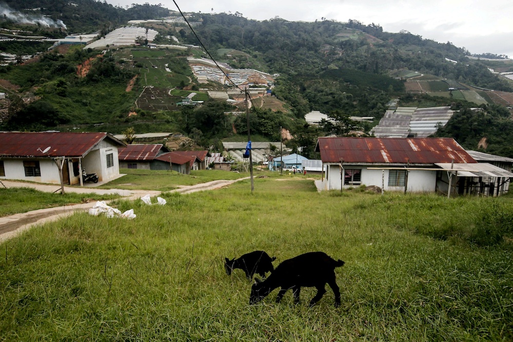 Customary land rights main resolution for Orang Asli community