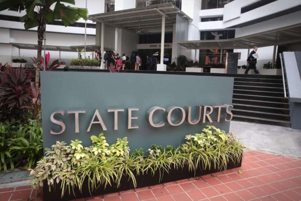 Malaysian teen charged in Singapore with allegedly molesting three women, including two senior citizens