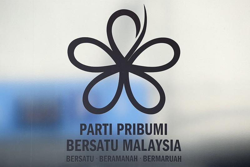 Johor Bersatu brushes off talks of its leaders eyeing national party posts