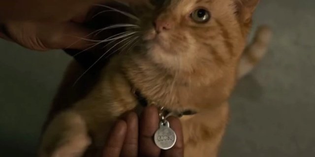 goose the cat keychain