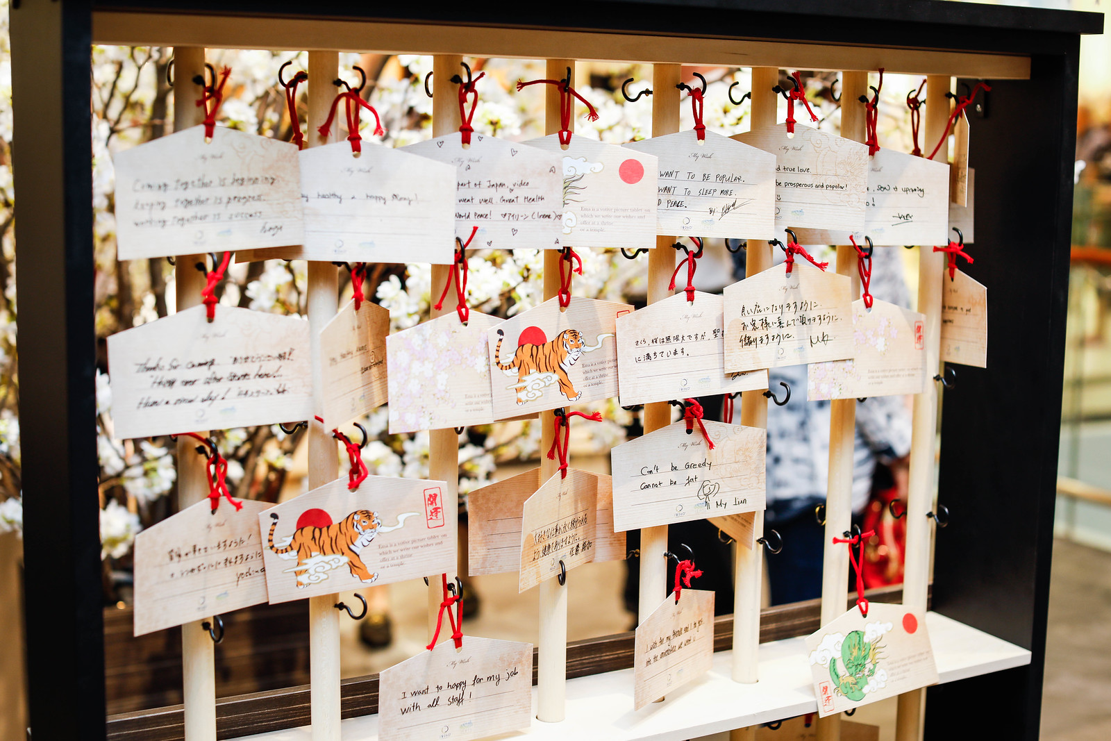 JW360° Opens Its Doors at Jewel Changi Airport – Discover Japan’s Way of Life Through Food and Retail