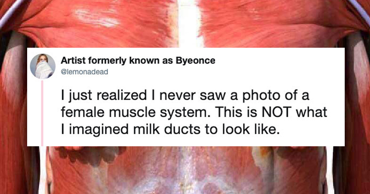 The Internet Can’t Handle Viral Photo Of What A Woman’s Milk Ducts Look Like