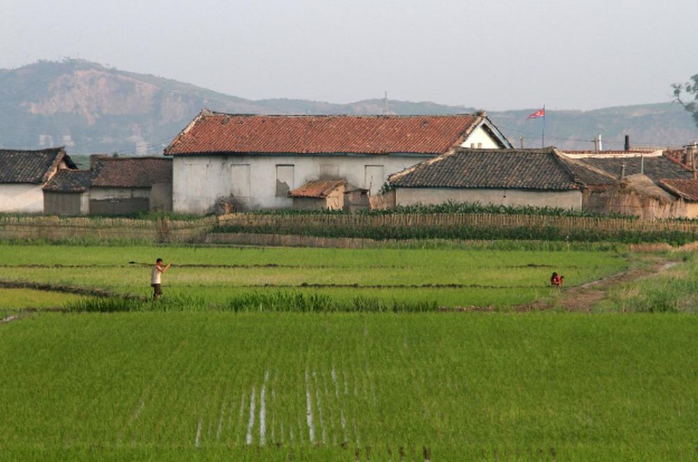 North Korea cuts rations to record low after bad harvest, UN says