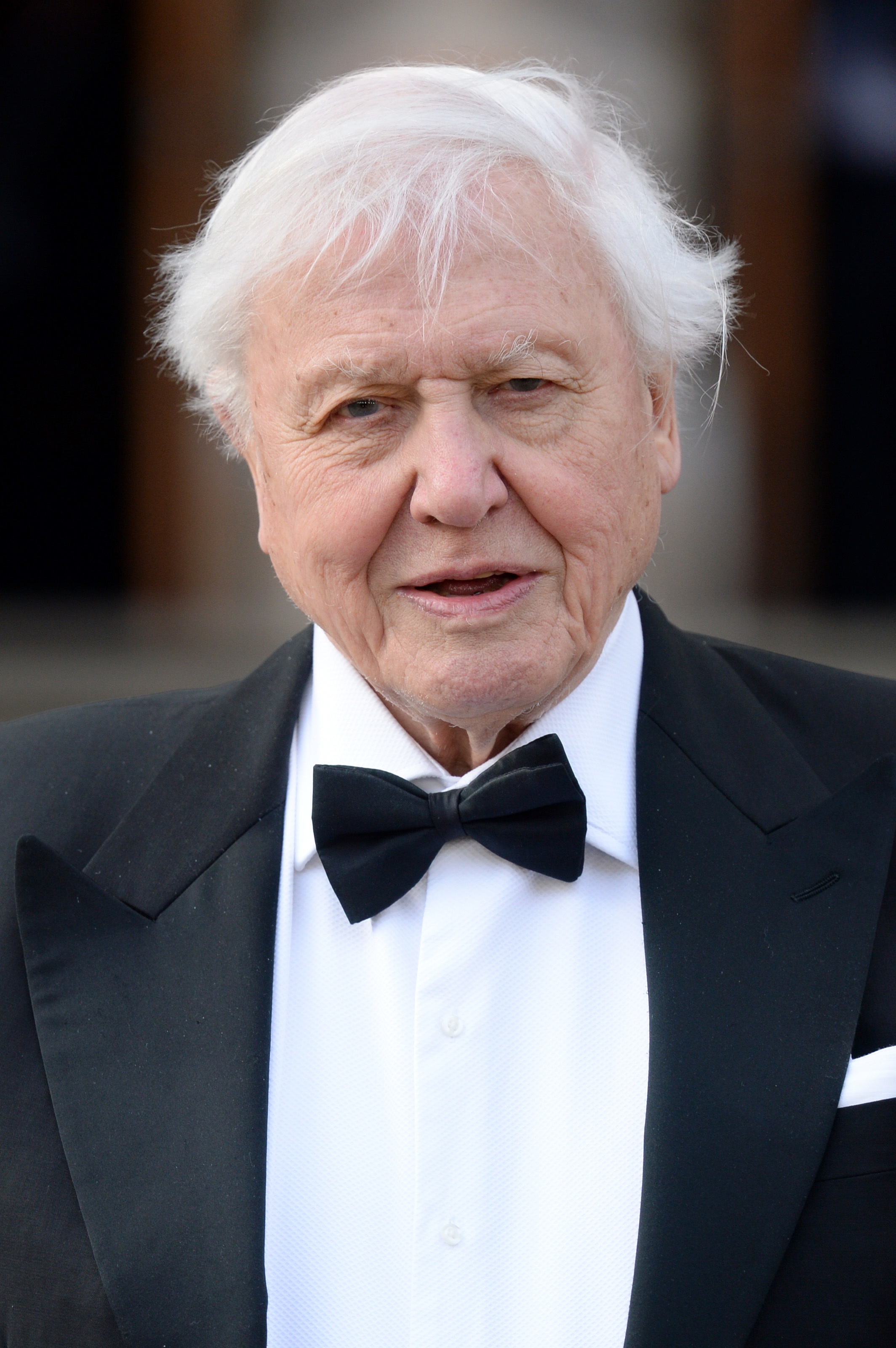 David Attenborough Is Making A Foray Into EDM Music At The Tender Age Of 93