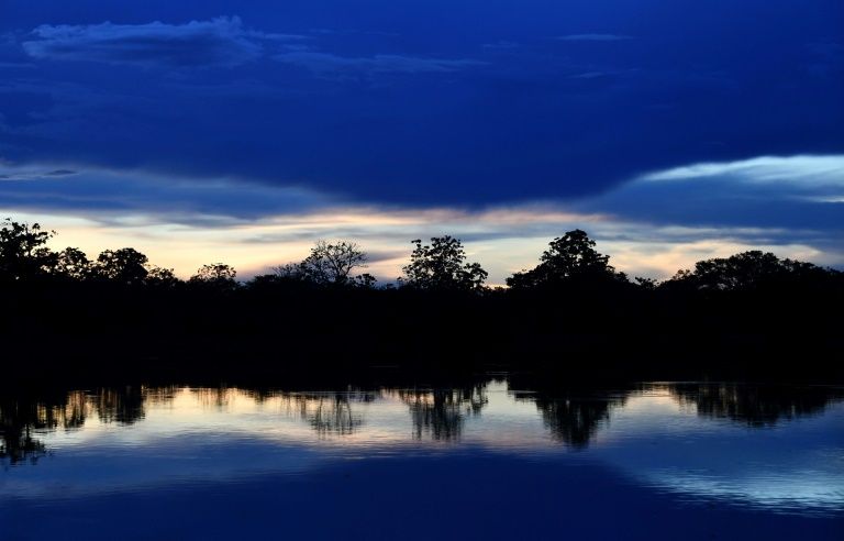 Amazon could be next virus hot zone: scientist