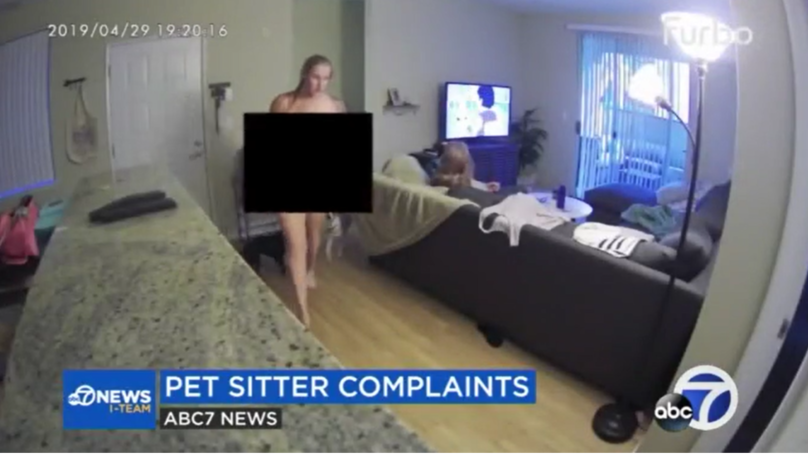 Dog-Sitter Caught On Camera Stripping Off And 'Taking Man Into Bedroom'