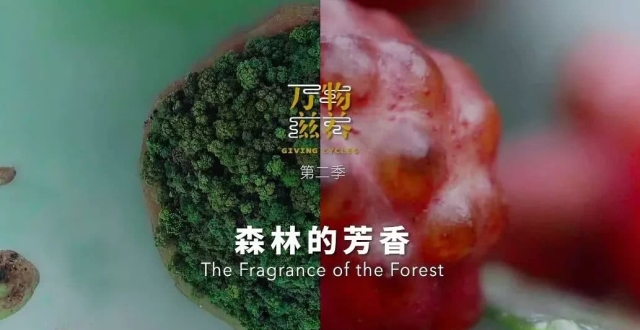 这部美食A片，又在勾引我“犯罪”！