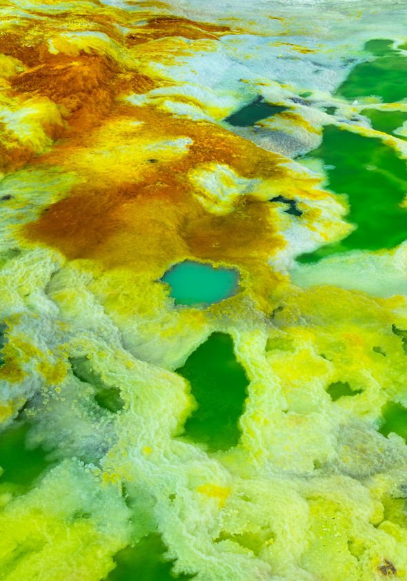 Life on Mars? Ethiopian volcano microbe find shows life could have THRIVED on Mars