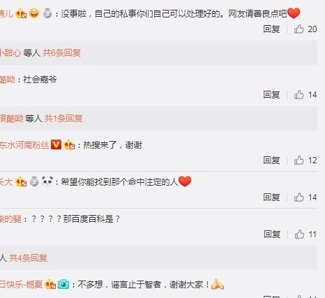 李维嘉否认与龙丹妮是夫妻：我和龙丹妮是校友、好朋友