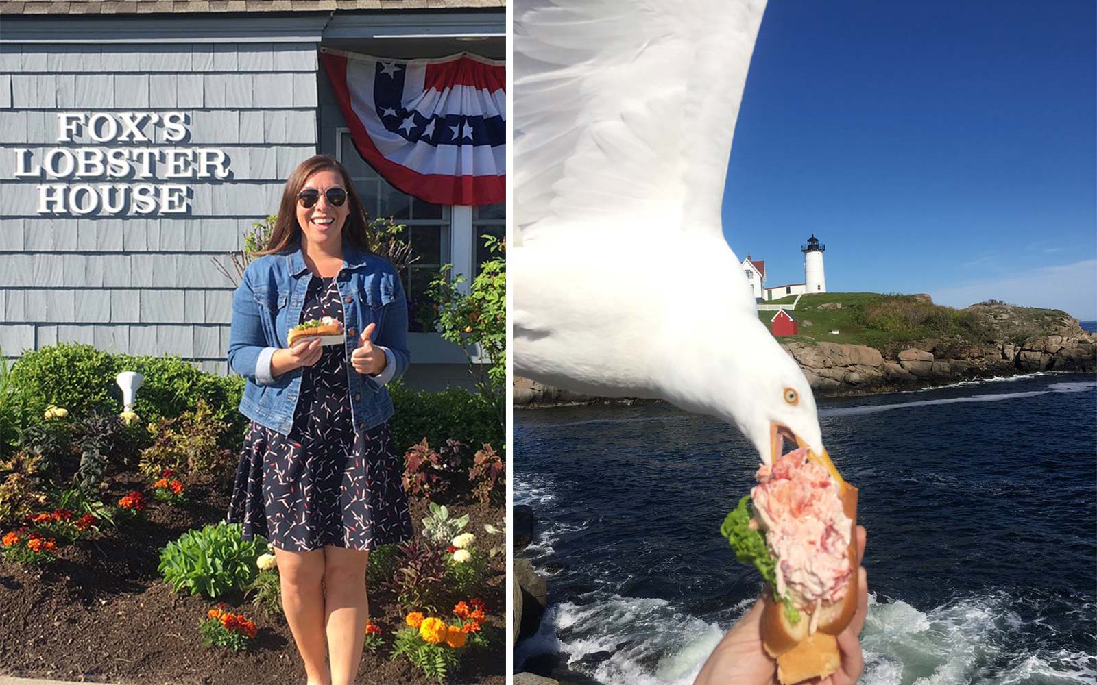 This Woman Tried Getting a Photo of Her Lobster Roll in Front of a Lighthouse — but Then a Seagull Stole It