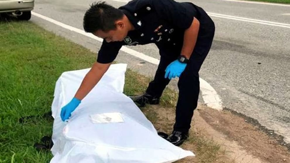 Singaporean motorcyclist decapitated in Johor Bahru road accident