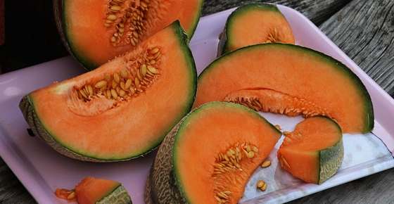 Types of Melons: Color, Shape, Taste and Pictures