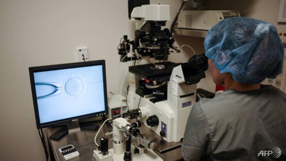 In US, relaxed IVF laws help would-be parents realise dreams