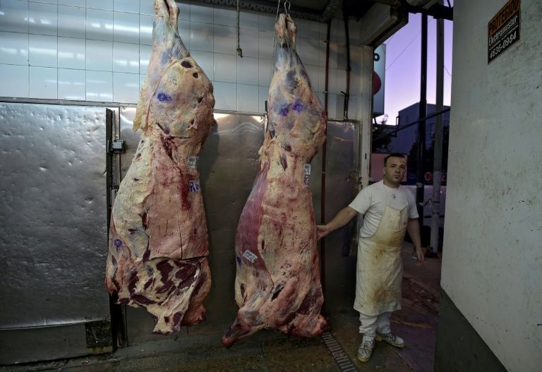 France casts doubt on Giant mercosur trade deal