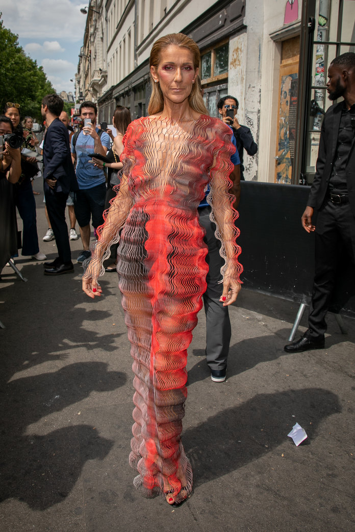 Celine Dion's Sheer Optical Illusion Dress Will Make You Dizzy