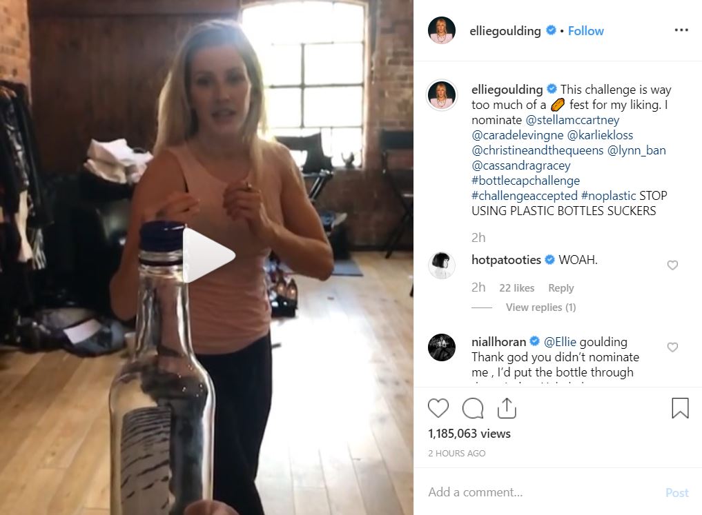 ellie-goulding-smashes-the-bottle-cap-challenge-following-in-the