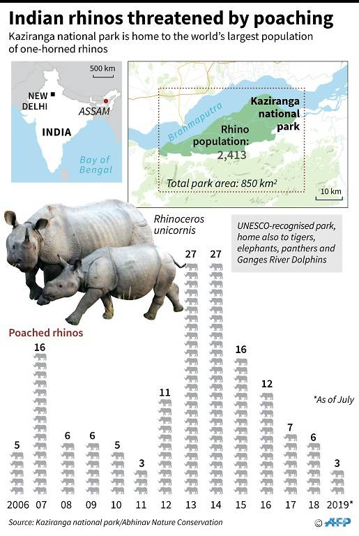 Hell in high water: Braving the monsoon to save India's rhinos