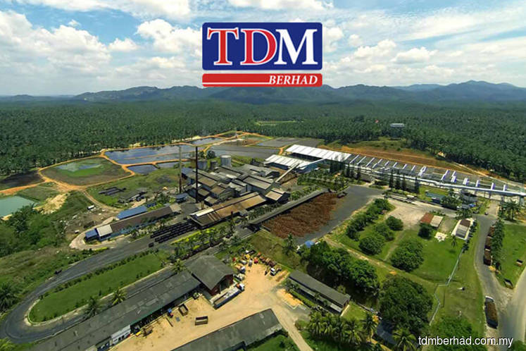 TDM shares hit over one-year high amid lower palm oil stockpiles