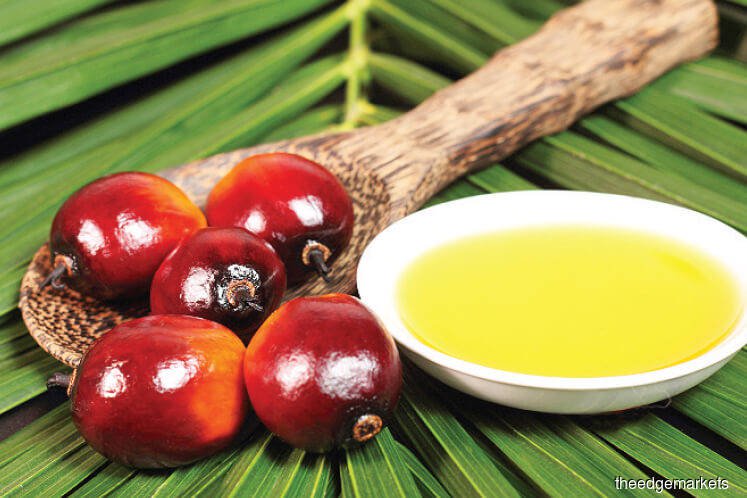 Malaysia Sept palm stocks set to snap six months of falls — survey
