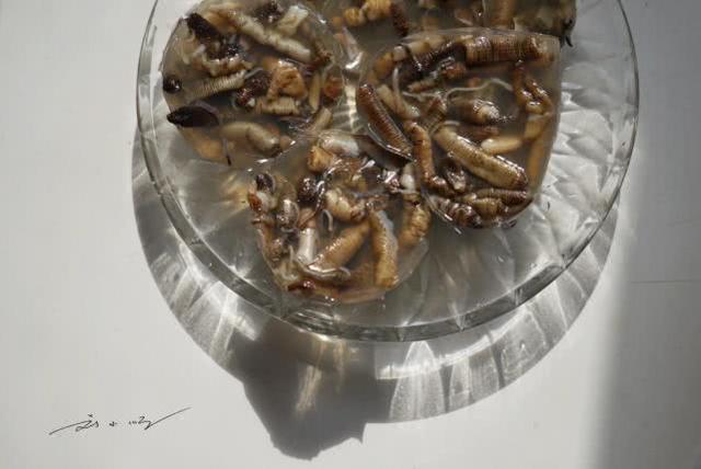 福建厦门“最恶心”的美食，外地游客看见浑身发麻，直呼快端走
