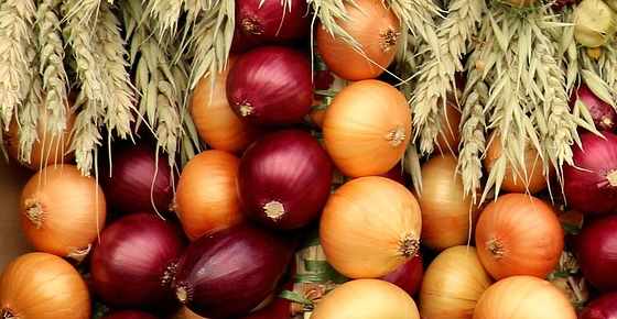 Types of Onions: Varieties of Onions and How to Use Them (Including Pictures)