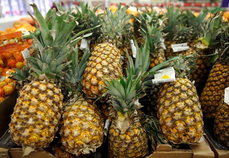 DSTE Capital Limited plants first batch of MD2 pineapples in Kedah