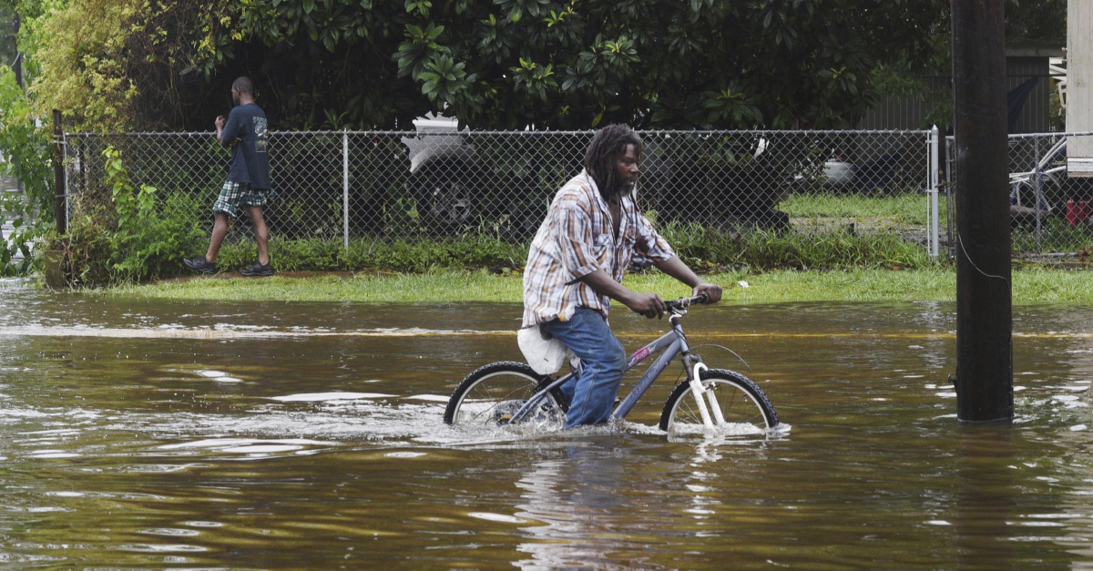 Toxic bacteria blown ashore by tropical storm barry closes beaches
