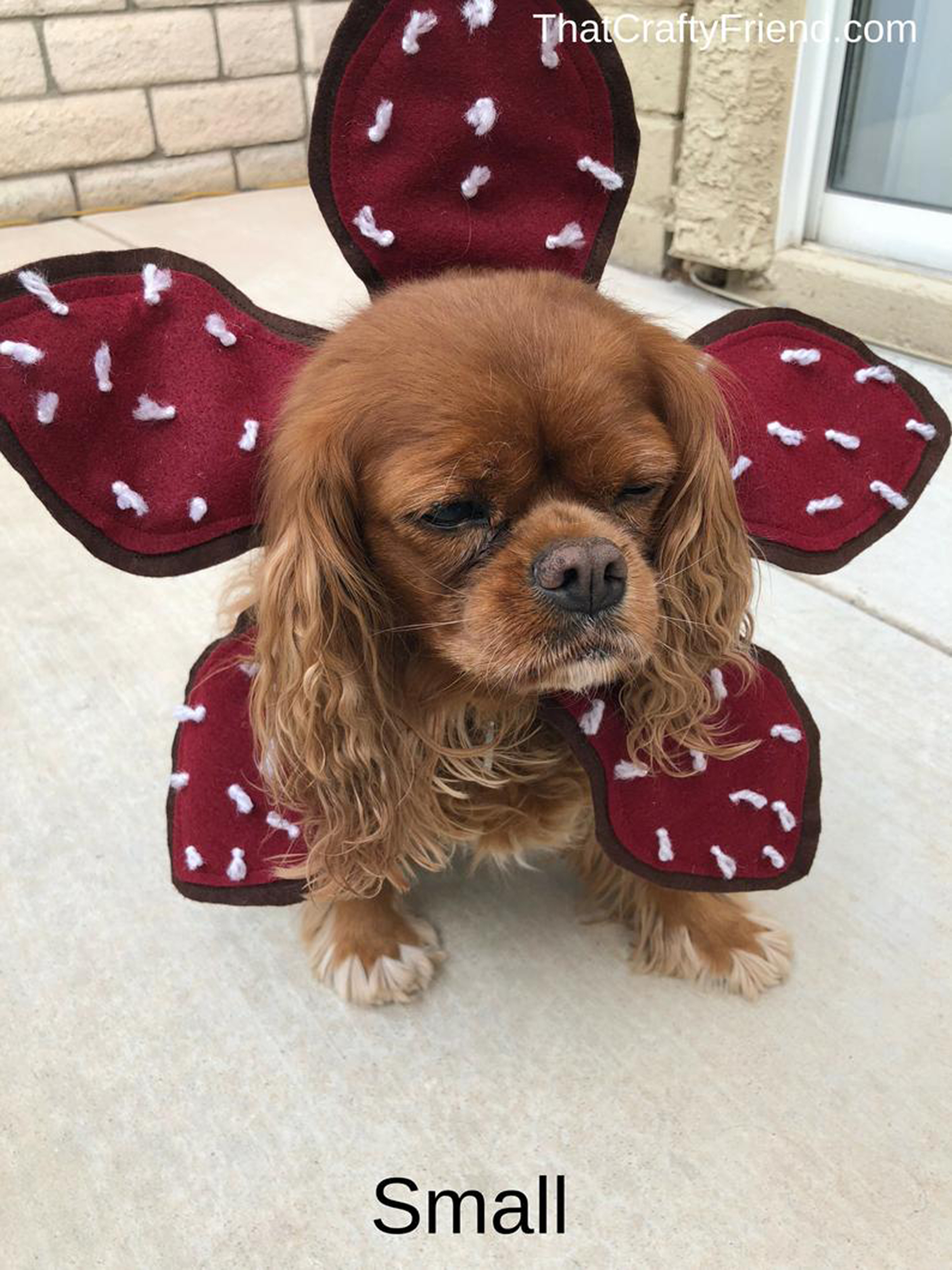 Turn Your Dog Into an Adorable Demogorgon with Stranger Things Dog Costumes on Etsy