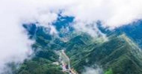 贊！这里有个「中国天然氧吧」，每一步都是风景