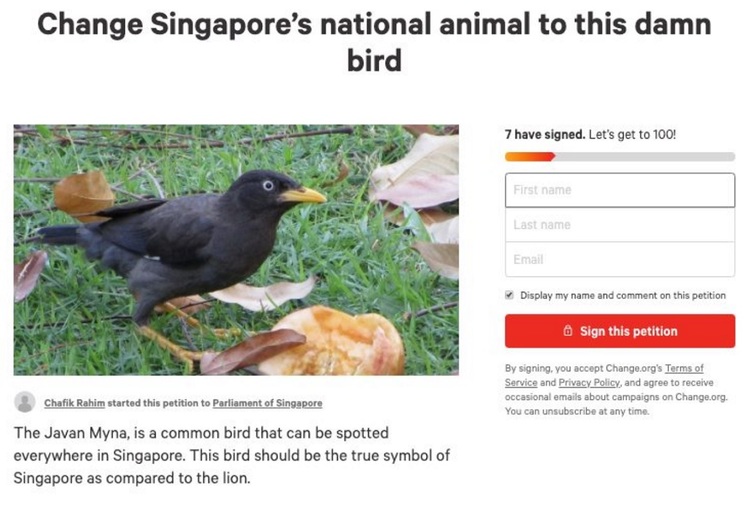 Someone Petitioned For Singapore's National Animal To A Javan Myna Instead;  Because Is Damn Common | Nestia