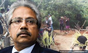 Let Orang Asli bring out forest products, SADC urged