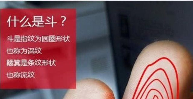 指纹也能看命运，你是斗纹还是流纹？