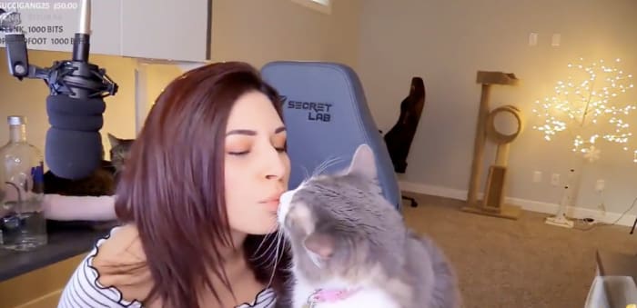 A Popular Gamer Threw Her Cat Live On Twitch, Sparking A Very Messy Drama