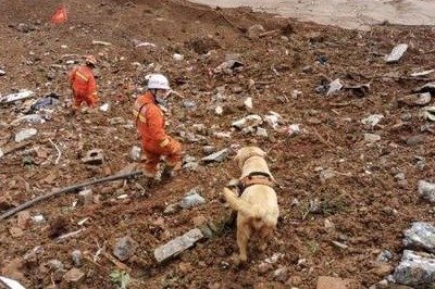 贵州水城特大山体滑坡区共有85人，已致38人遇难，13人失联