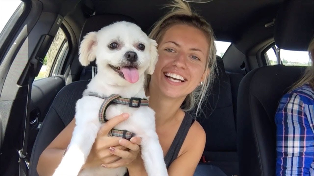 Dog Helps Owner Overcome Seizures