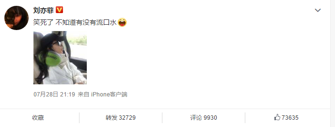 刘亦菲车上睡觉被偷拍 第一反应竟是担心自己流口水