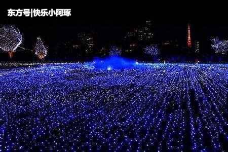 全球最美丽的海滩之一，也被认识是最“危险”的美景，你想去吗？