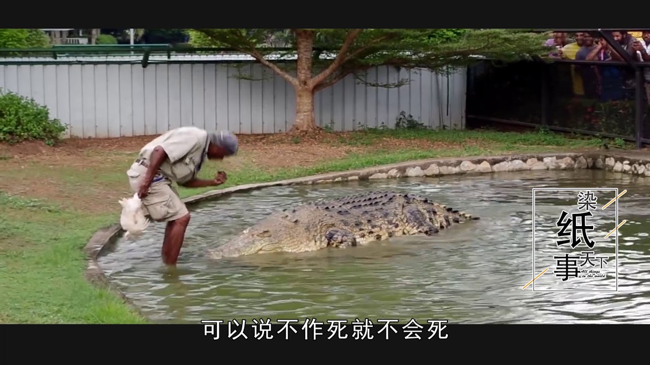 法国巴黎危险体验，在水下与鲨鱼共住一晚，你幹嘛？