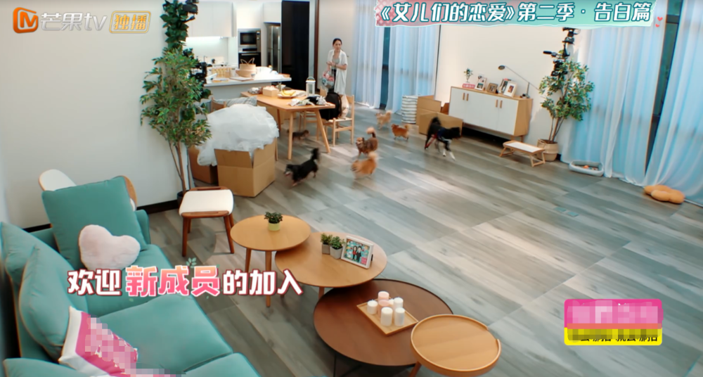向佐和郭碧婷的婚房首次公开，看到房子的样子，网友：梦中才有吧