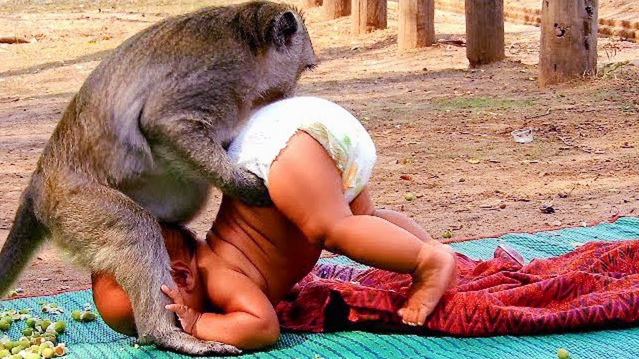 Funny Animals Trolling Babies and Kids #18 | Funny Babies and Pets