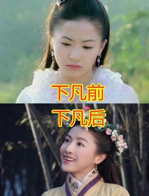 4个版本七仙女下凡前后，黄圣依版VS贡米版，看到林依晨恋爱了