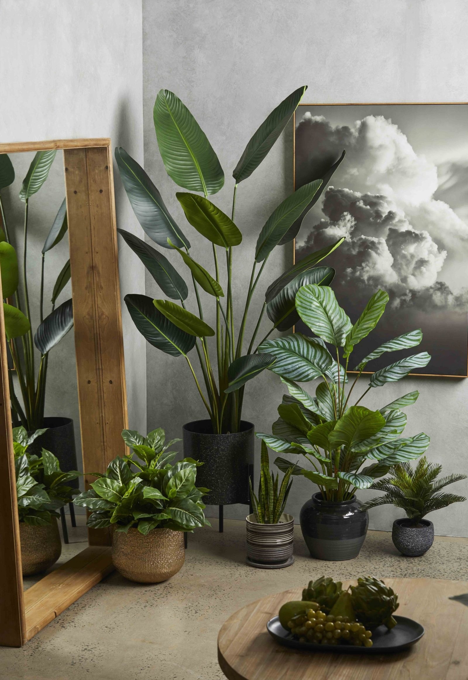 13 Plant Buys You Can Totally Justify Now That Our Lord And Saviour Springtime Is Coming
