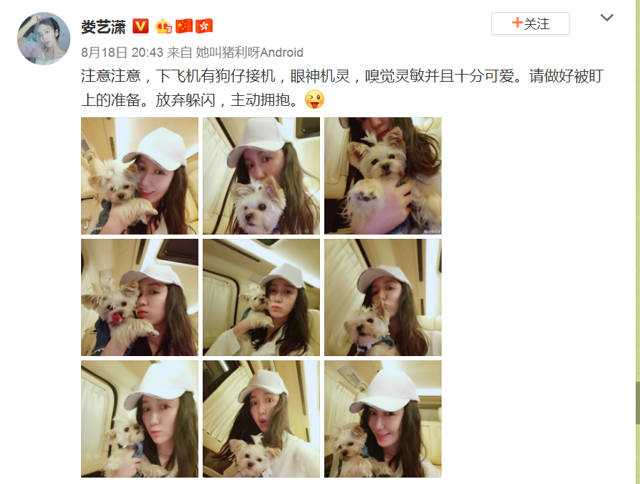 娄艺潇官宣演员表，谁注意她怀中抱的啥？网友：耐不住激动的心！