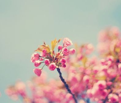 命中藏财，身居高位，这辈子都不会为钱忧愁，幸福无忧的3生肖